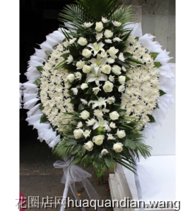 ѩƬ-õ壬ջװٺϣľҶ걳Ҷװη񣺸ԼΪ1.6<Ȧ>